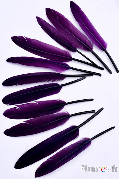 Gans - 10-15 cm - pruim-aubergine